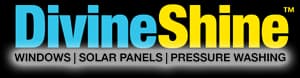 Divine Shine logo